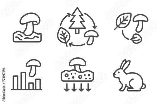 Forest Ecology Line Icons. Line style icons of Forest Ecology and Fungi Role: decomposer symbol, forest cycle diagram, leaf to