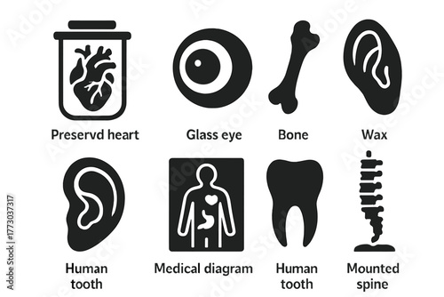 Anatomical Curiosities Icons. Solid style icons of anatomical curiosities: Preserved Heart Jar, Glass Eye, Bone Fragment, Wax Ear,
