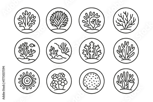 Deep Sea Coral Icons. Line style icons of deep sea corals in round shape: soft coral, fan coral, spiral coral, tree coral; coral