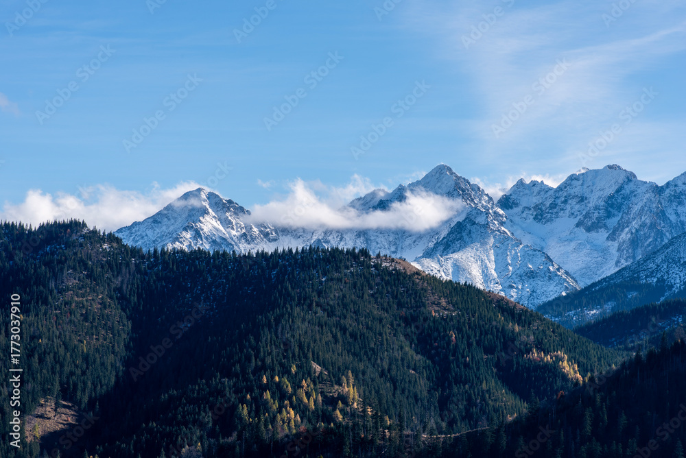 Fototapeta premium mountains in the snow