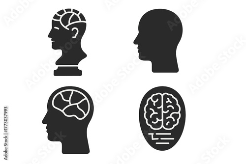 Vintage Brain Study Icons. Solid style icons of Vintage Brain Study: Phrenology Bust, Head, Painted Sections, Pseudoscience,