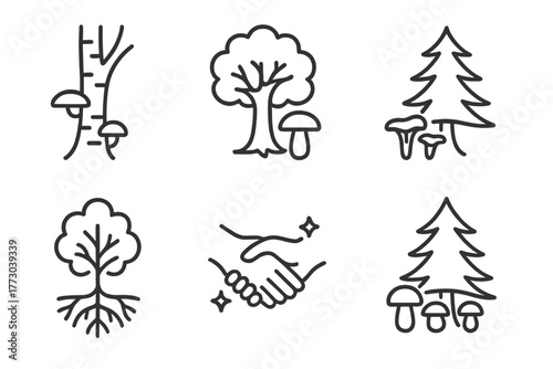 Mushroom-Tree Associations Icons. Line style icons of Mushroom-Tree Associations: birch with fungi, oak and bolete, pine with