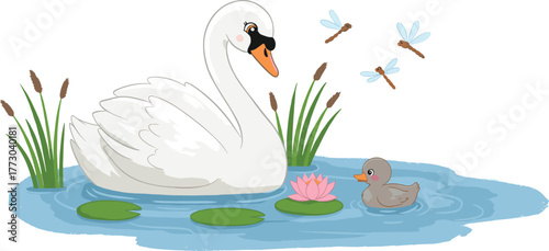 Beautiful swan and duckling in pond, cute water birds with lotus flowers and dragonflies, peaceful lake nature illustration