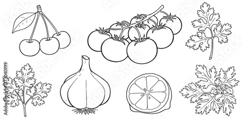 Black and white line art of cherries tomatoes cilantro garlic and lemon slice illustration food drawing