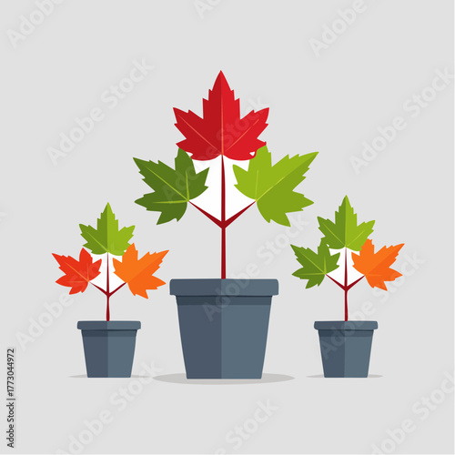 Three potted plants with colorful maple leaves representing growth and change in a stylized artistic design