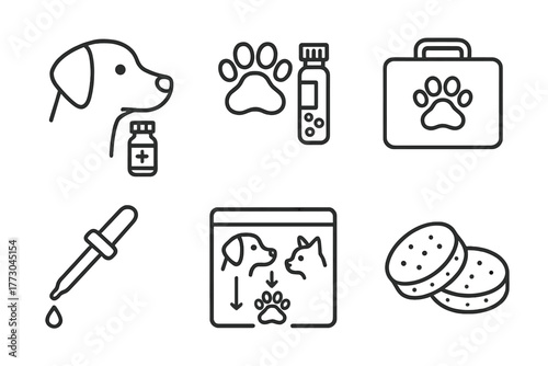 Pet Homeopathy Icons. Line style icons of homeopathy for pets: dog with remedy bottle, cat paw and vial, animal kit, dosing