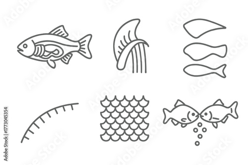Marine Biology Icons. Line style icons of marine biology: fish anatomy, gill structure, fin types, lateral line, scale texture,