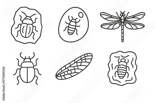 Paleontology Line Icons. Line style icons of paleontology: extinct insect fossil, amber inclusion, ancient dragonfly, prehistoric