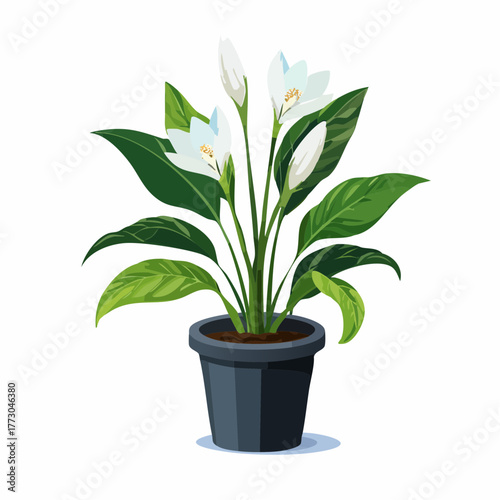 Elegant Peace Lily Plant in a Stylish Pot A Vector Illustration for Home and Design