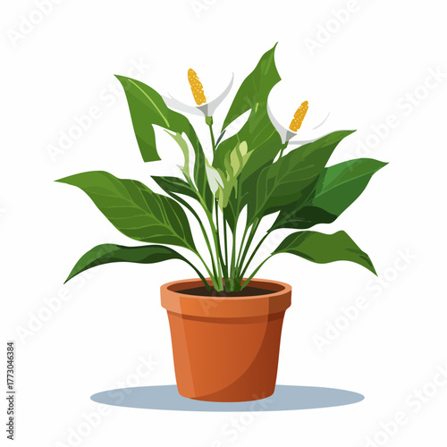 Beautifully illustrated peace lily plant with characteristic white spathes and glossy green leaves in a terracotta pot, a classic houseplant for serene indoor environments and botanical designs