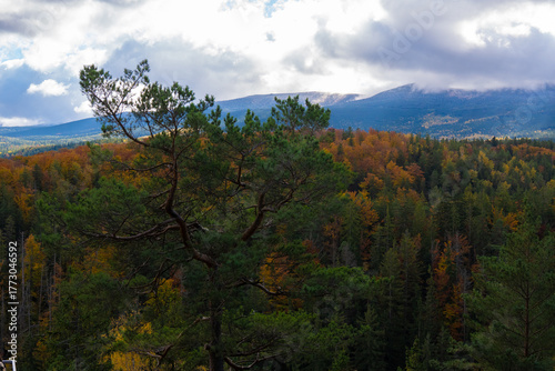 View of Karkonosze mountains in Poland Sudety from the platform called Zloty Widok ( Golden Wiew )
