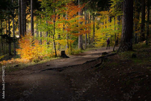 rocks formation called Sowie Skaly Owl Rocks in the Karkonosze mountains in the area of Szklarska Poremba 