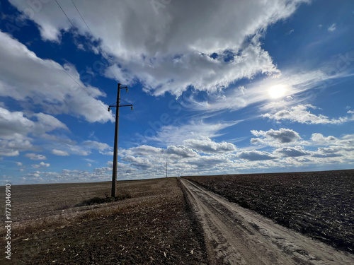 power line in the field