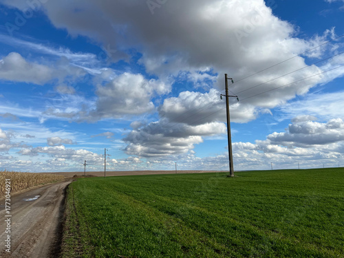 power line in the field