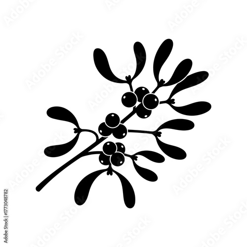 Black and white mistletoe sprig with berries elegant botanical art for festive occasions vector vector illustration on white background