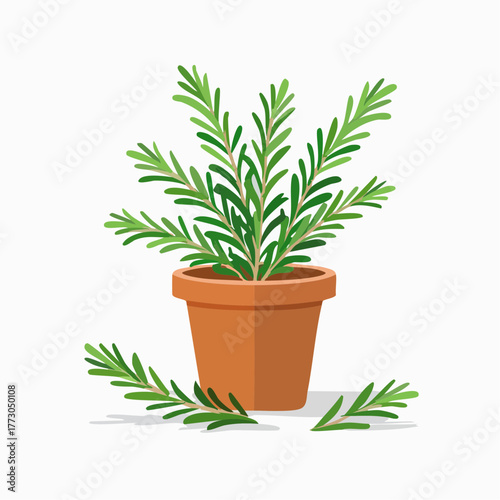 Potted rosemary plant with fresh green sprigs scattered around, illustrating a popular aromatic herb perfect for culinary uses, natural seasoning, and home garden concepts