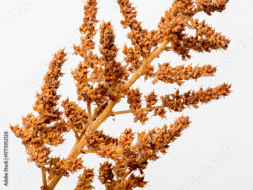 christmas tree decoration