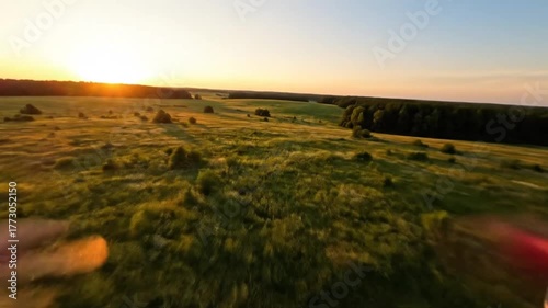 Aerial view of lush green fields and trees under a golden sunset, capturing tranquil nature scenery