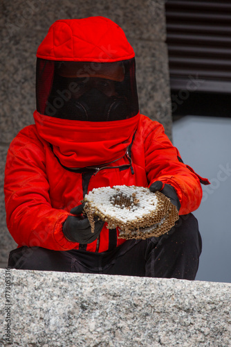 A pest control technician removes an Asian hornet (Vespa velutina) nest from a house under construction in Meis, Galicia.