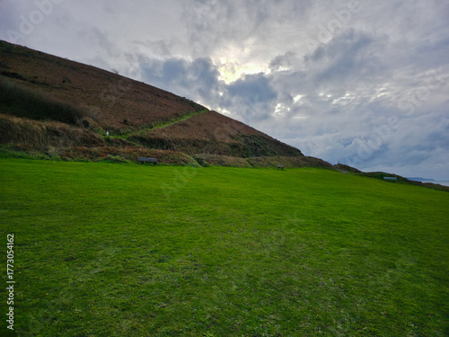 green grass and blue sky