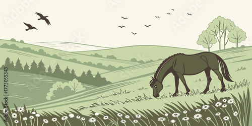 A magnificent horse grazes peacefully in a grassy meadow at sunset, its silhouette a striking feature of the nature landscape