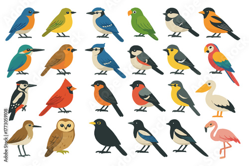 Colorful collection of various bird species illustrated in a playful style