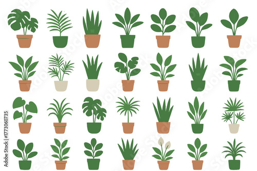 Various potted houseplants on green gradient background