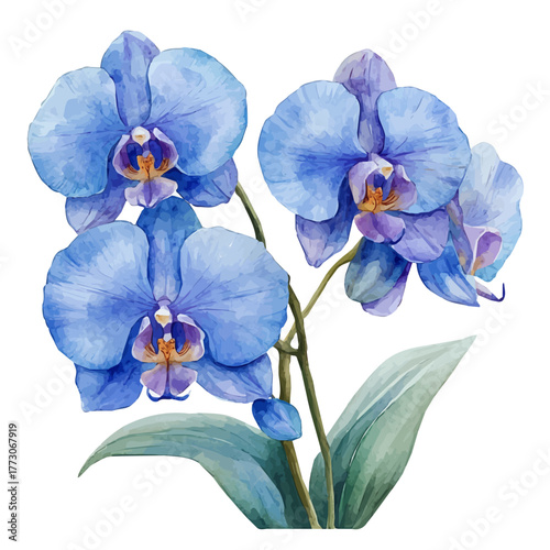 Orchid Flower, watercolor painting vector, isolated on a white background.