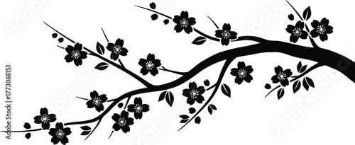 Cherry blossom silhouette vector on branch