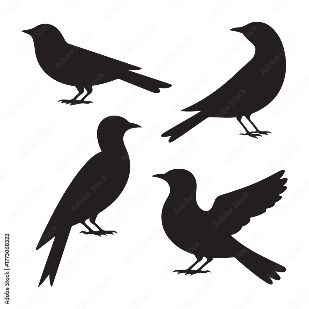 Obraz premium set of silhouettes of birds