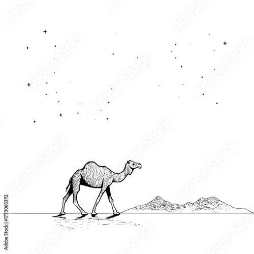 Camel walking across desert landscape under starry night sky in black and white illustration style image