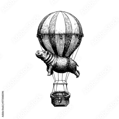 Illustration of a hippo riding in a striped hot air balloon with a woven basket in a vintage style drawing