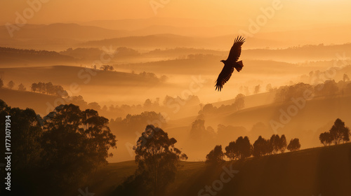朝霧を翔ける自由の翼