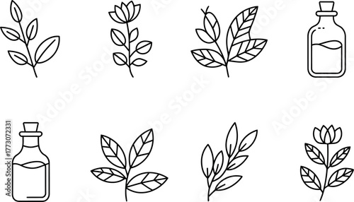Line art illustration of botanical elements and essential oil bottles set