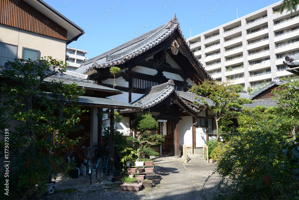Fototapeta premium 善導寺 庫裏 京都市中京区