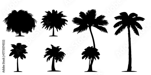 Collection of silhouettes of various tropical palm trees and other trees against white background