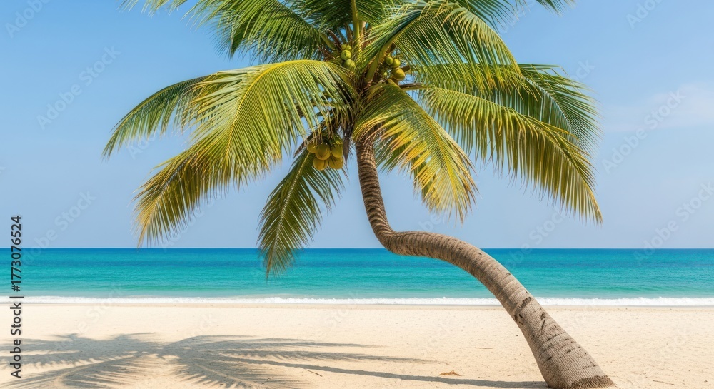 Obraz premium Leaning Palm Tree on Sandy Beach with Turquoise Ocean View.