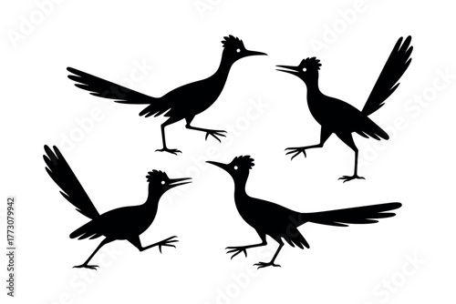 Four roadrunners are silhouetted against a white background.