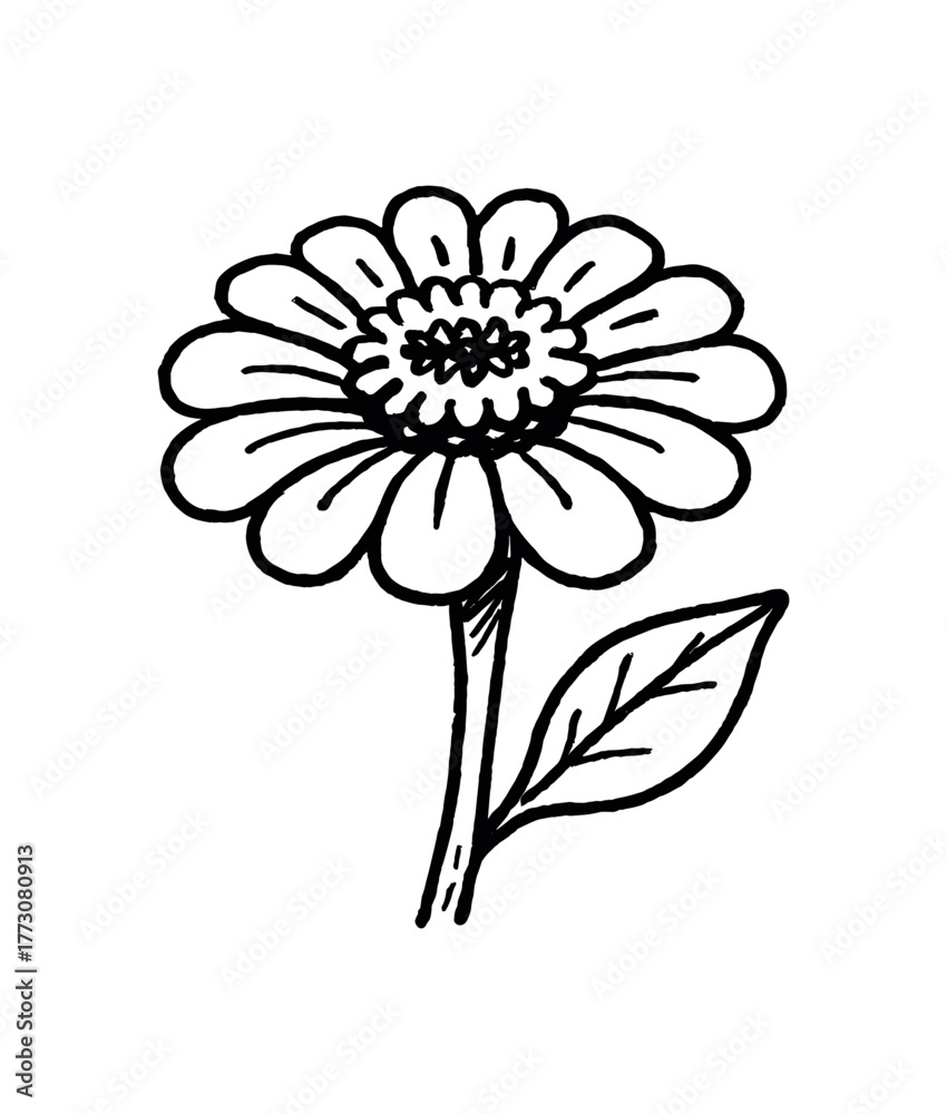 Fototapeta premium hand drawn cute doodle style zinnia bloom vector line illustration line isolated on white background