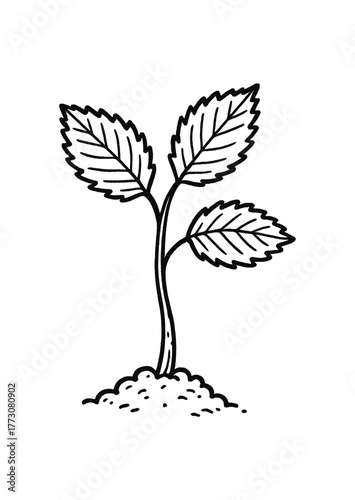 hand drawn cute doodle style elm sapling vector line illustration line isolated on white background