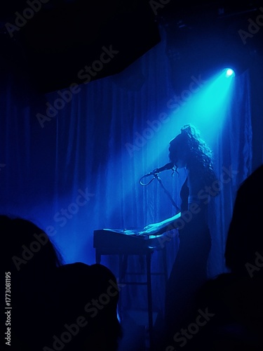 Billede på lærred Singer performing under blue stage light