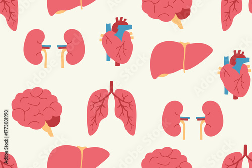 Seamless pattern of human internal organs: featuring heart, brain, lungs, kidneys and liver; perfect for educational materials, healthcare backgrounds, or anatomy-themed designs- vector illustration