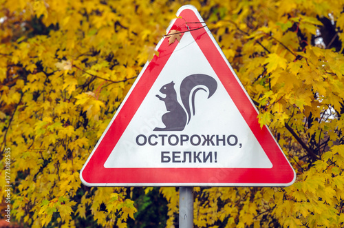 Photography "Careful, squirrels!" Wild Animals warning sign