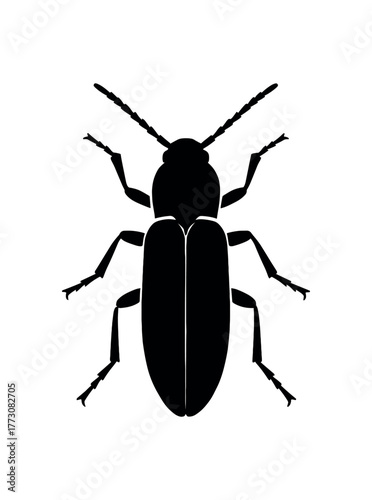 click beetle flat black solid vector illustration isolated on white background