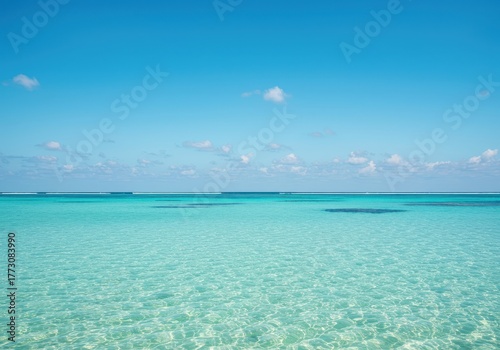 Fototapeta Naklejka Na Ścianę i Meble -  Crystal clear turquoise ocean water flowing over a vast white sand bottom near a vibrant tropical coral reef environment ,warm water ,coral ,conservation