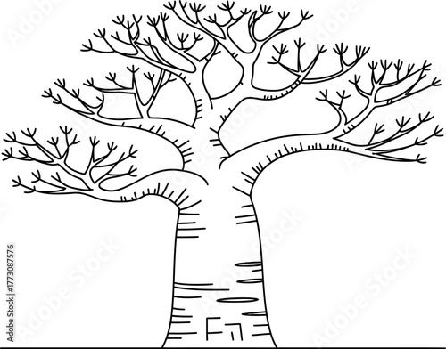 A drawing of a baobab tree with its distinctive thick trunk and branching limbs