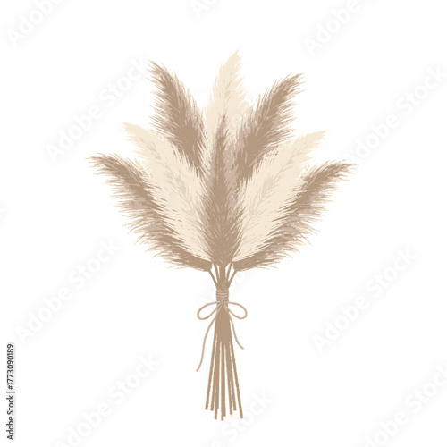 Pampas Grass Bouquet Vector Illustration (Boho Dried Floral Decor)