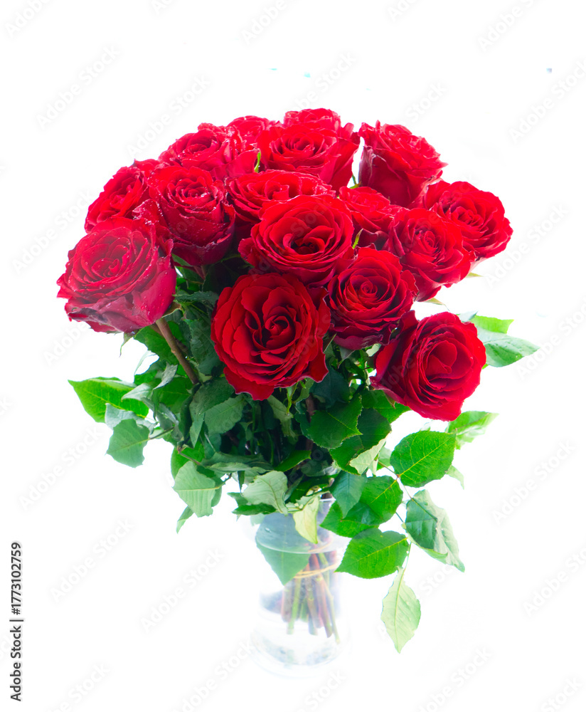 Obraz premium Crimson red rose flowers