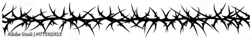 Thorn Vine Border Seamless Bramble Divider Sharp Thorns Silhouette Black and White Vector