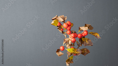 abstract, artistic, texture, pattern, colorful, modern art